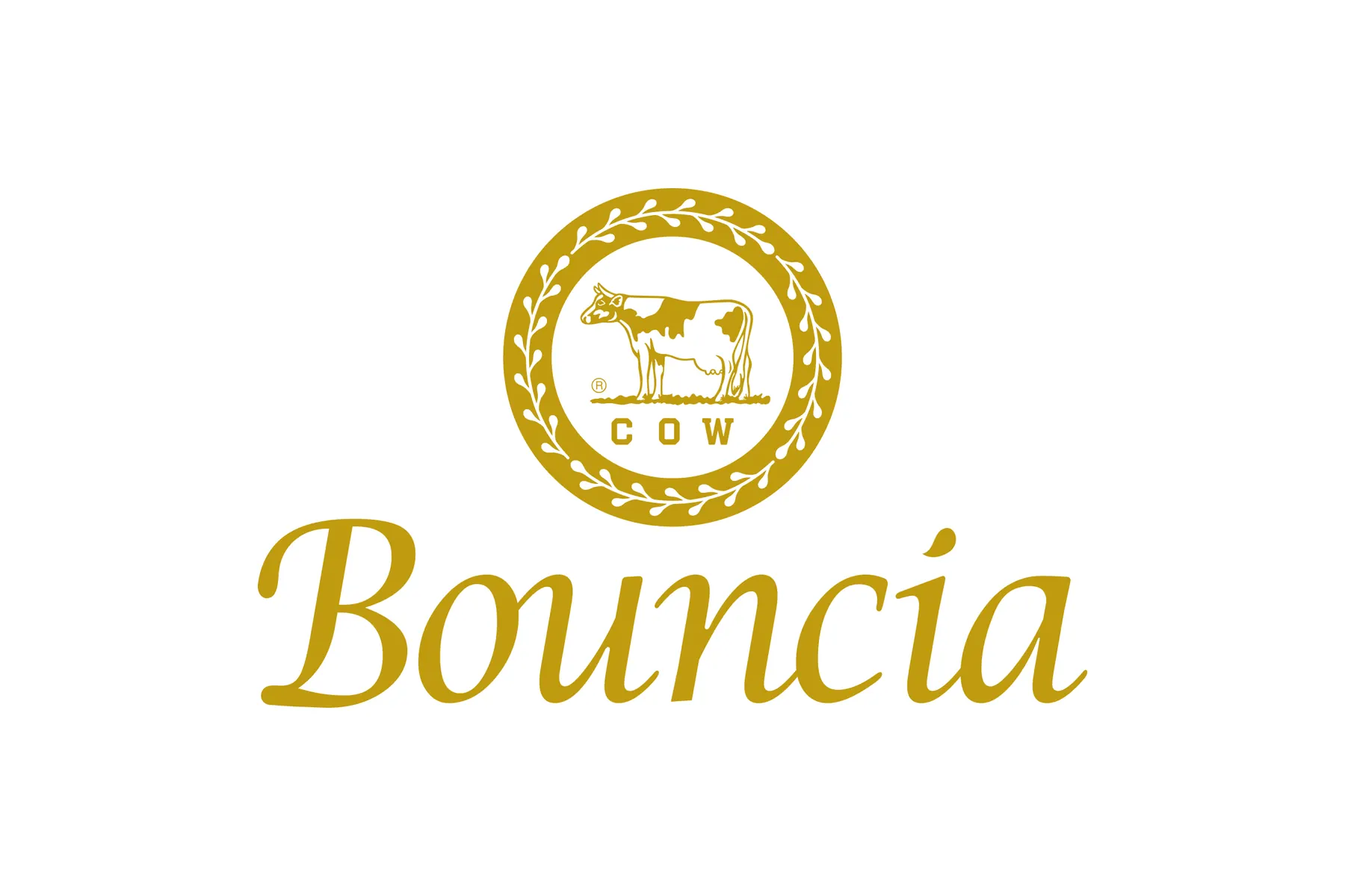 Bouncia