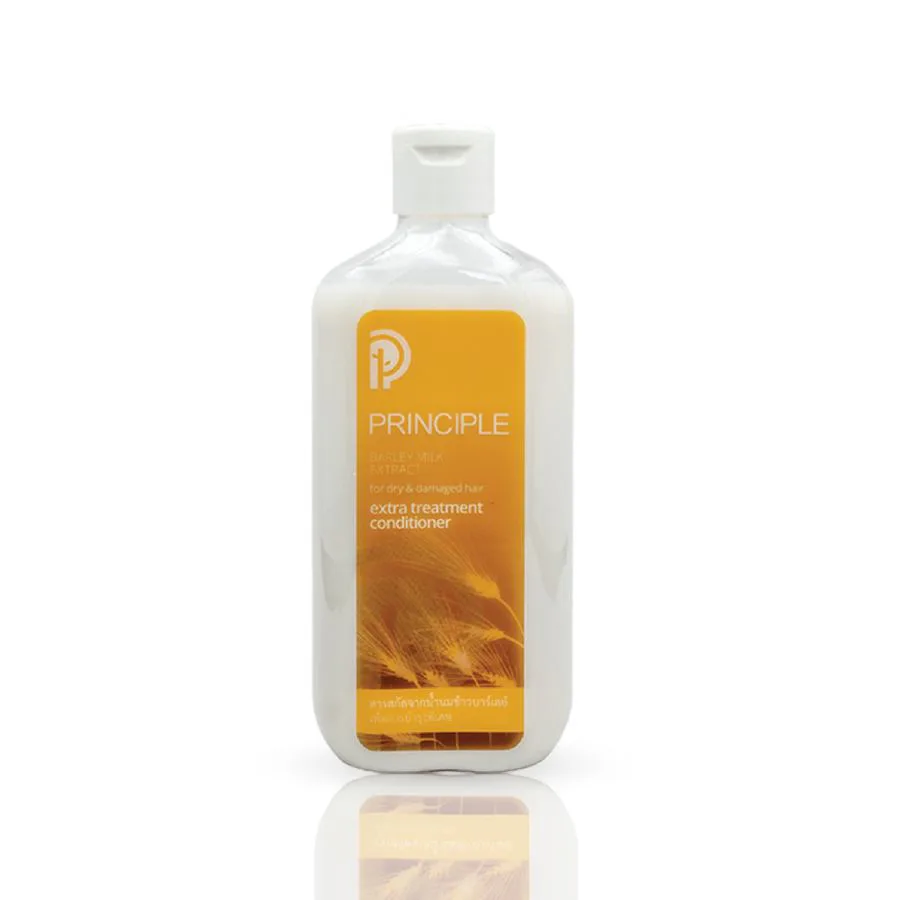 คอนดิชันเนอร์ เอ๊กซ์ตร้า ทรีทเม้นท์ - Principle